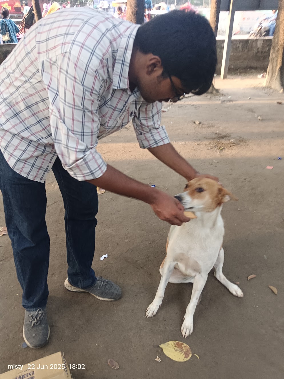 ক্যাম্পাসের পথচারী প্রাণীদের খাবার দেওয়া
